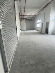 Ct Foodnex (D25), Factory #625891611